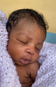 Baby Manboora